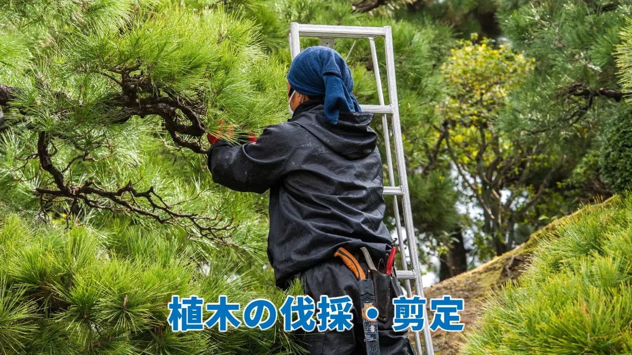 植木の伐採・庭木の剪定